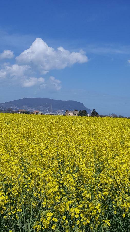 Villetta del Conero Porto Recanati Esterno foto