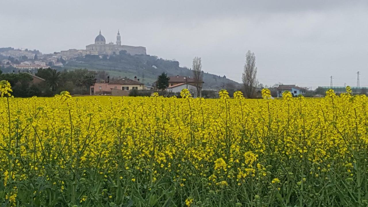 Villetta del Conero Porto Recanati Esterno foto